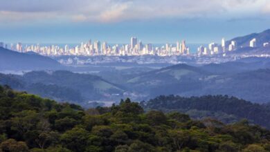 Inscrições abertas para o projeto Produtor de Água do Rio Camboriú