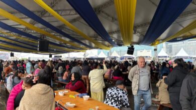 Festa do Peixe em Itajaí reuniu 24 mil pessoas