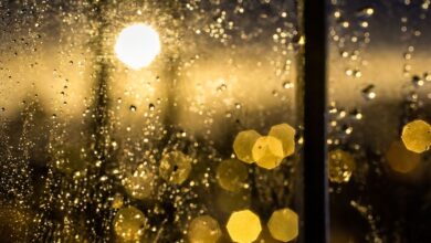 Pronóstico del clima para mañana en Filadelfia