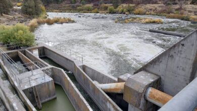 A half bet at the Keno Dam • Oregon Capital Chronicle
