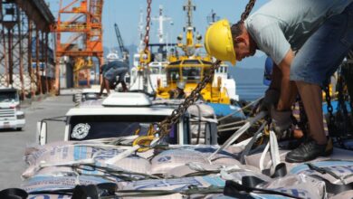 Açúcar no porto: produto é mais vendido pelo Brasil para a Mauritânia