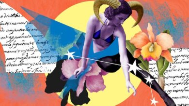 veja previsão para seu signo no dia 28/6