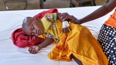 Metade das crianças no sul de Angola sofre de desnutrição crónica