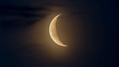 Qual a fase da Lua nesta segunda-feira (7)? Veja o calendário lunar de julho