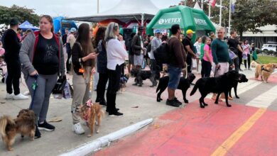 15ª Cãominhada reúne 300 cães e lança programa de castração gratuita em Balneário Camboriú