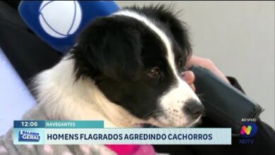 Homens são flagrados maltratando cachorros em Navegantes
