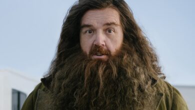 Nick Frost Debuts Hagrid in First Look Photo