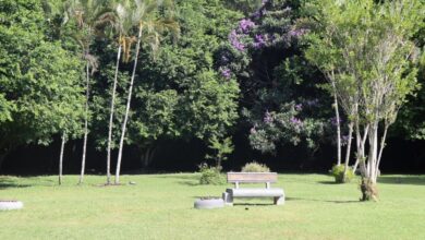 Parque Raimundo Malta terá tarde cultural com teatro, poesia e contação de histórias nesta sexta