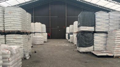 Ao vivo - Balanço Geral Florianópolis