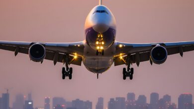 SC é o 3º estado com mais voos