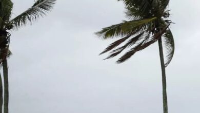 ciclone extratropical - agencia brasil - frente fria, chuva forte