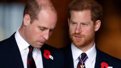 Princes William and Harry's cousin, 20, found dead with firearm nearby to her