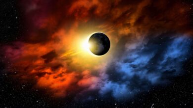 Fase da Lua hoje: 29/07/2025