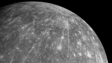 Felipe Neto se pronuncia após irmão desabafar por falta de ajuda financeira