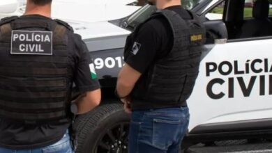 Caso foi investigado pela Delegacia de Atendimento à Mulher de Ponta Grossa