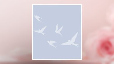 Janet E. Allinger Obituary August 5, 2025