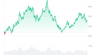 Why Ruvi AI (RUVI) Might Be the Smarter Play Over Avalanche (AVAX), Passed Audit and New CoinMarketCap Listing Makes It a No Brainer