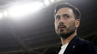 Ancelotti terá que deixar 2 dos 7 reforços do Botafogo de fora da Libertadores