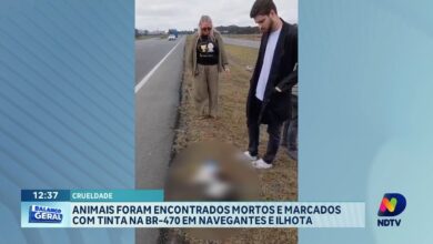 Animais são encontrados mortos e marcados com tinta na BR-470