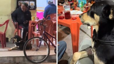 Ao vivo - Balanço Geral Florianópolis