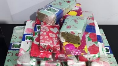 Cruze usado no tráfico é interceptado com 13 kg de maconha em Balneário Camboriú