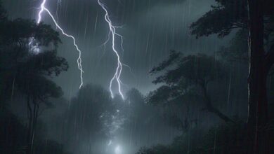 Frente fria traz virada com temporais e ventos fortes em SC