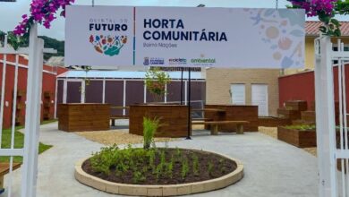 Horta Comunitária no Bairro das Nações oferece alimentos frescos de graça em Balneário Camboriú