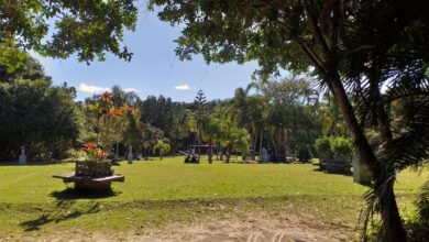 Parque Raimundo Malta tem novo horário de visitação a partir desta terça-feira