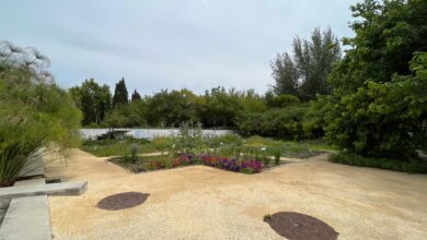 Teresa Dias Mendes leva-nos a conhecer jardins | Antena 1