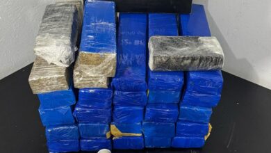 Polícia Militar apreende 22 kg de maconha e prende suspeito em Camboriú