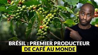 Marrocos e Brasil, do produto Carne ao Café