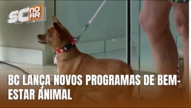 Balneário Camboriú lança programas para reforçar o bem-estar animal