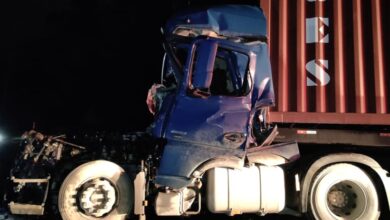 Ao vivo - A Hora da Venenosa