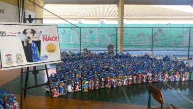 Escola de Camboriú busca recorde com 2 toneladas de tampinhas em apoio à causa animal