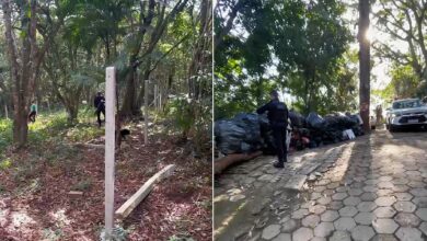 Fiscalização desmonta cercamento irregular em área de preservação no Pico do Atalaia