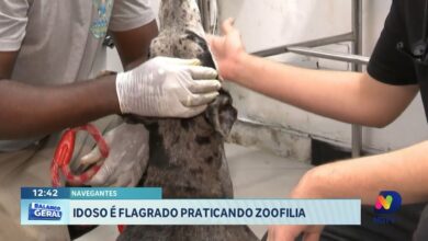 Idoso é flagrado em crime de maus-tratos a animais em Navegantes