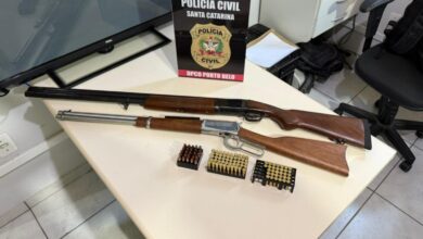 Polícia Civil apreende duas armas registradas em caso de violência doméstica