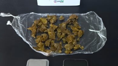 preso com 57 g de skunk em BC