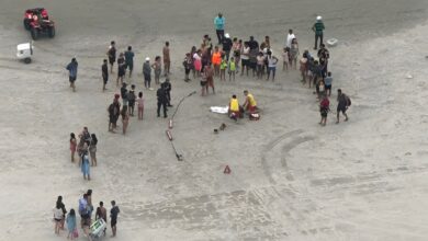 argentina e venezuelana têm grau 2