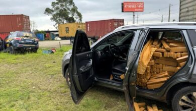 Carro com uma tonelada de maconha é apreendido em SC