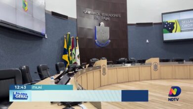 Câmara de Vereadores de Itajaí realiza audiência pública sobre a causa animal