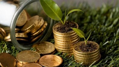 O novo diferencial competitivo das empresas em 2026