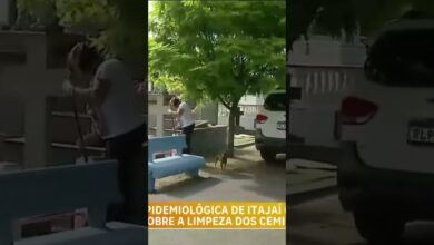 Vigilância intensifica vistorias em cemitérios para combater a dengue #dengue #vigilânciasanitária