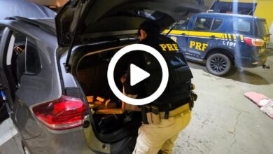 Adolescente é apreendido em carro 'recheado' de drogas em SC