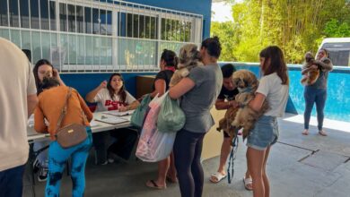 Balneário Camboriú realiza novas castrações gratuitas nesta sexta (21) e sábado (22)