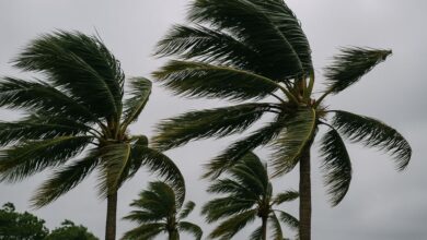 Ciclone no mar promete ventos intensos em Balneário Camboriú neste sábado