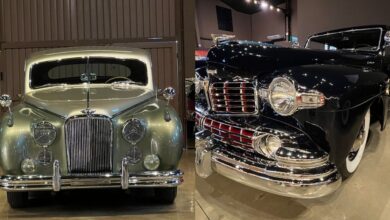 Clássicos de luxo “queridinhos” de Hollywood chegam ao Museu do Automóvel de Pomerode