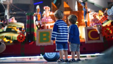 Desfile de Natal encanta mais de 30 mil pessoas em SC