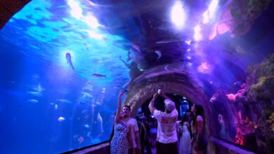 Grupo Oceanic movimenta Balneário Camboriú em todas as estações do ano