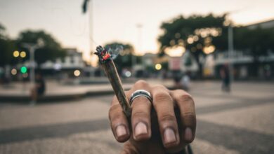 Lei Antidrogas gera 567 multas em SC; Joinville lidera